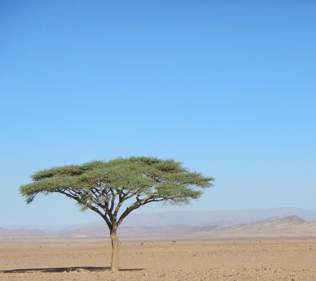 Paradis Touareg Zagora Exterior foto