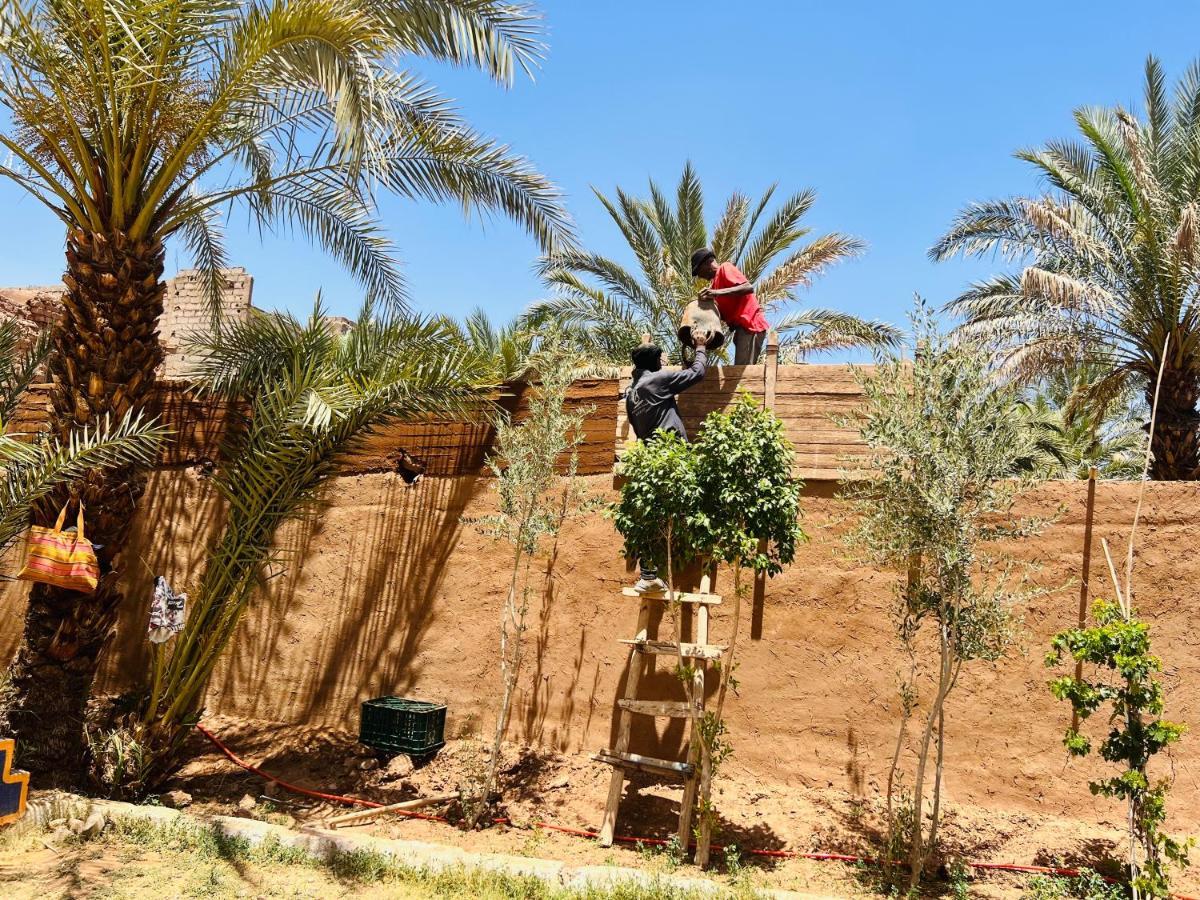 Paradis Touareg Zagora Exterior foto